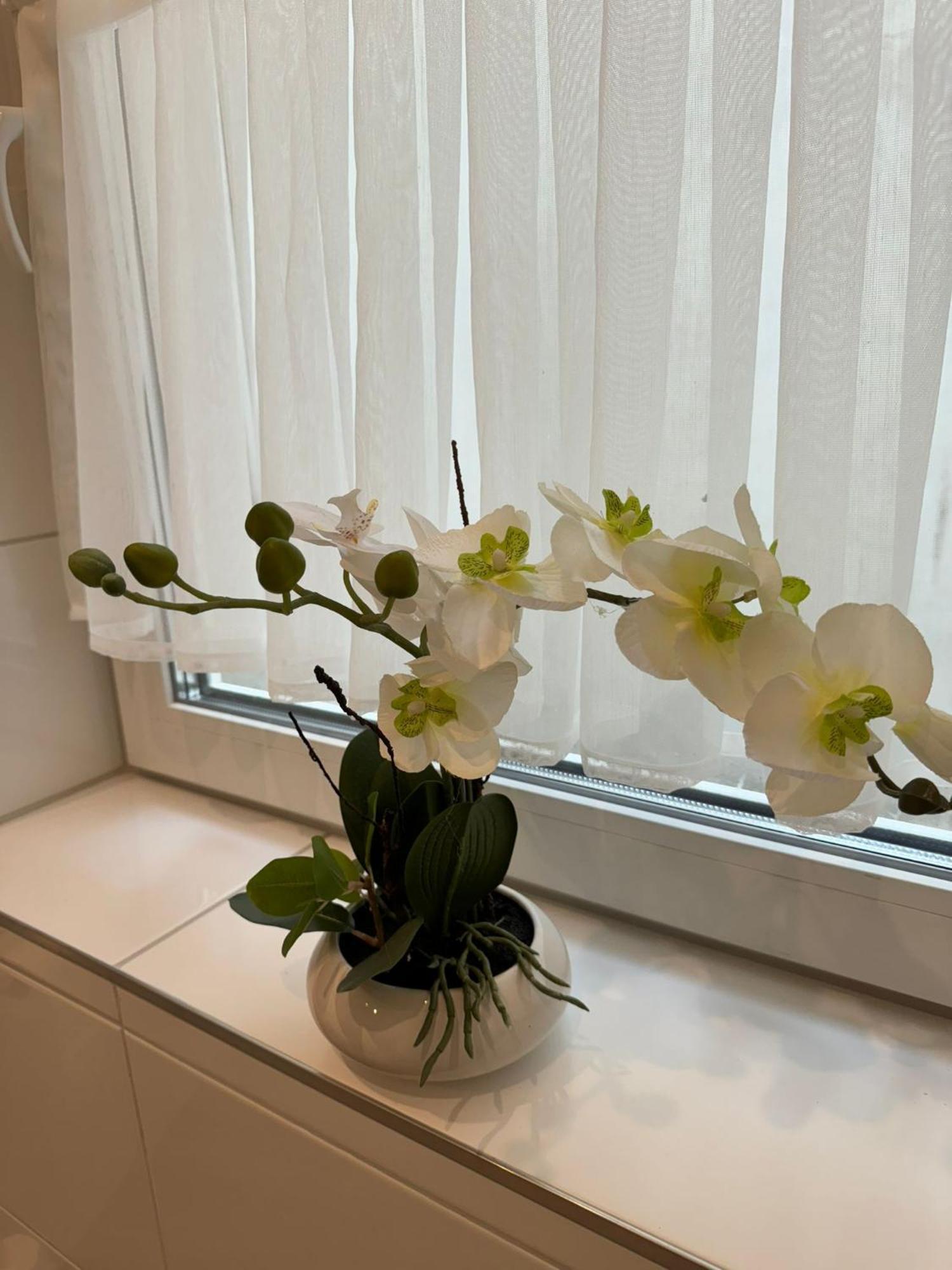 Charmante Und Moderne Altbauwohnung *